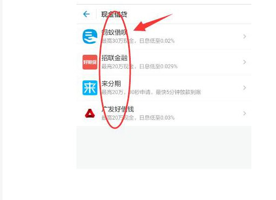 支付寶里有哪些綠色借款通道？