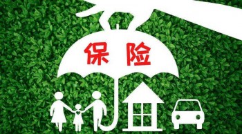 平安保險在猶豫期怎么退保
