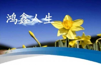 鴻鑫人生怎么全額退保