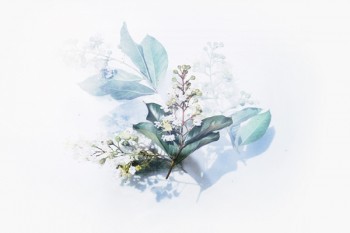 重疾險買了之后不繳費(fèi)了要怎么操作