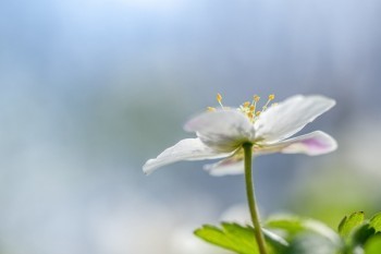 平安少兒綜合意外險(xiǎn)