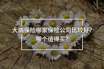 大病保險哪家保險公司比較好