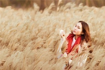 新華的重大疾病保險