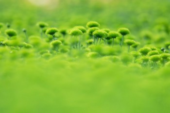同等責(zé)任保險(xiǎn)公司怎么賠償
