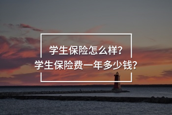 學(xué)生保險(xiǎn)費(fèi)一年多少錢