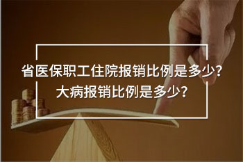 省醫(yī)保職工住院報(bào)銷比例