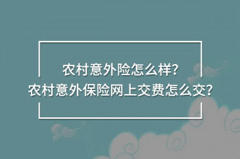 農(nóng)村意外保險網(wǎng)上交費(fèi)