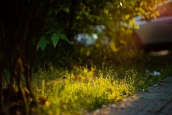 車(chē)險(xiǎn)意外健康險(xiǎn)要買(mǎi)嗎