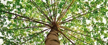 甬惠保條款有哪些？哪些情況不能報(bào)銷(xiāo)？