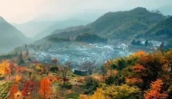 寧波市民保怎么購買？怎么理賠呢？