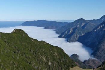 平安短期保險意外保險多少錢
