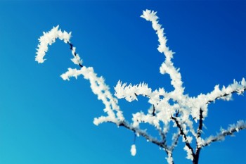 壽險保單是什么