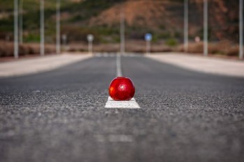 返還型壽險(xiǎn)