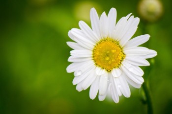 壽險(xiǎn)和重疾區(qū)別