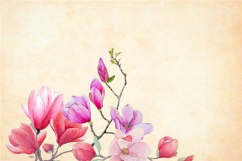壽險(xiǎn)的功能
