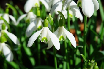 世紀(jì)同祥終身壽險(xiǎn)介紹
