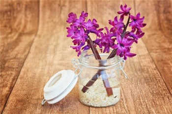 國內(nèi)壽險排名