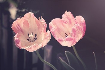 福如東海a款終身壽險(xiǎn)