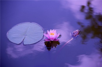 平安少兒平安福終身壽險(xiǎn)怎么樣
