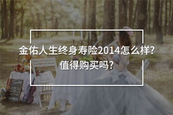 金佑人生終身壽險(xiǎn)2014