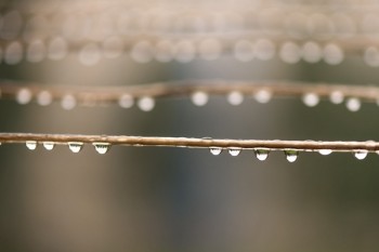 定惠保定期壽險(xiǎn)