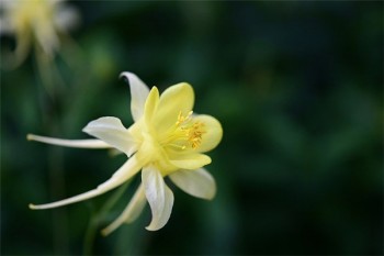 什么叫壽險(xiǎn)和重疾的區(qū)別