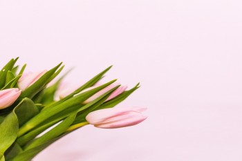 中國(guó)壽險(xiǎn)公司多少家
