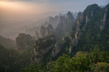 全國壽險排名