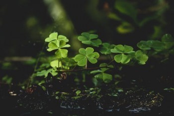 國(guó)壽福滿一生怎么可以全額退保？有哪些注意事項(xiàng)？
