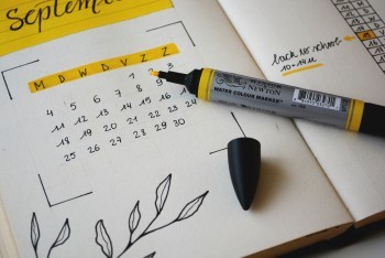 陽光i保麥滿分定期壽險怎么樣？在哪里買？