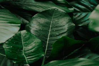 人保壽險關愛百萬醫(yī)療保險怎么樣