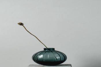 泰康卓越人生終身壽險(xiǎn)萬能型保什么