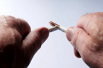 中國人壽保險品種查詢