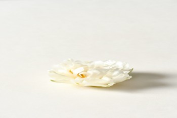 金瑞人生終身壽險(xiǎn)分紅型看病報(bào)銷嗎