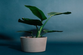 壽險(xiǎn)理賠的程序有哪些