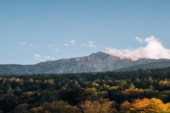 太平保險(xiǎn)公司怎么樣可靠嗎
