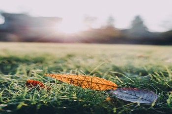 人保壽險盛世富貴兩全保險分紅型a款