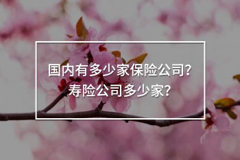 壽險(xiǎn)公司多少家