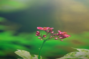 香港壽險(xiǎn)保險(xiǎn)有必要買嗎