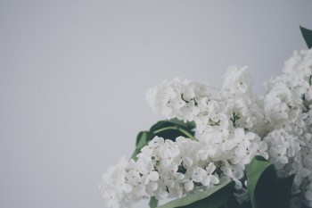 中荷簡愛定期壽險(xiǎn)怎么樣？有什么產(chǎn)品特色？