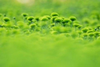 重疾險(xiǎn)健康告知