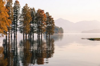 金瑞人生終身壽險(xiǎn)分紅型b款