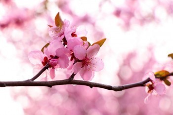 壽險與財險的區(qū)別