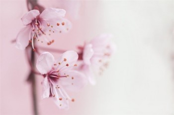 壽險(xiǎn)理賠的作用和意義
