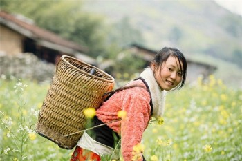 英大金生金世終身壽險(xiǎn)