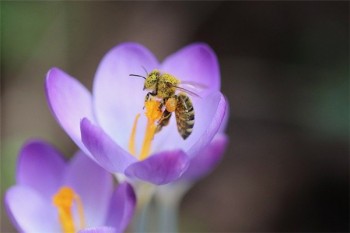 外資壽險(xiǎn)公司