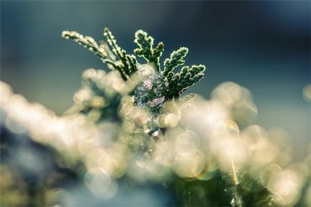 壽險(xiǎn)保單可以貸款嗎