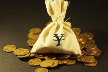 恒安標(biāo)準(zhǔn)人壽險種