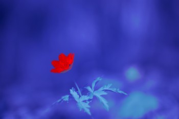 光大永明年年喜年金險怎么樣？值得買嗎？