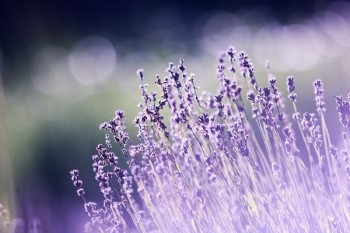 重疾險關(guān)于輕微腦中風(fēng)的定義